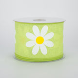 2.5"x10yd Daisy Bold Print On Royal, Bright Green/Yellow/White ***ARRIVING SPRING 2023*** - KRINGLE DESIGNS