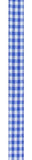 5/8"x10yd Gingham Check, Royal Blue/White  MY41 OC26